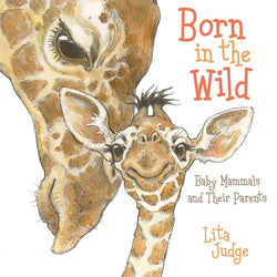 Born in the Wild (Giraffe Board Book)