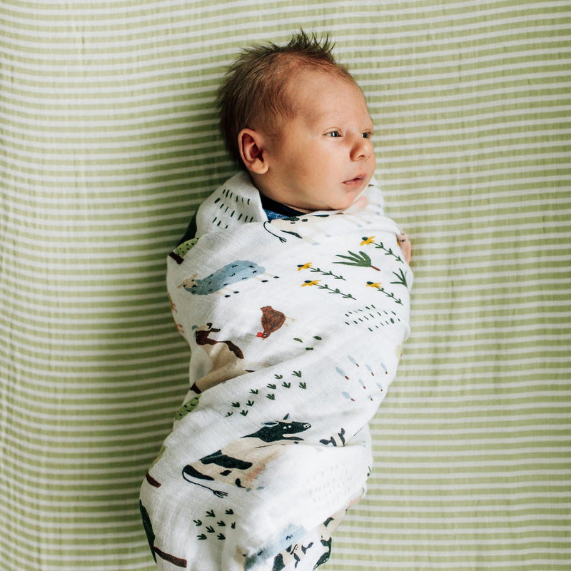 Farm Friends Baby Gift Box