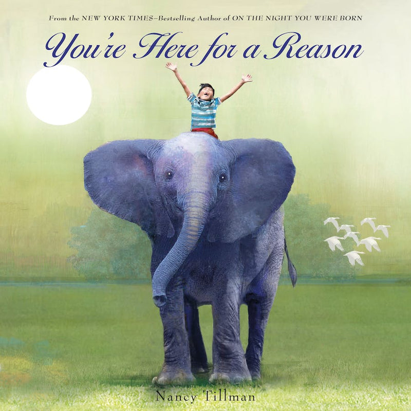 You're Here for a Reason (Elephant Board Book)