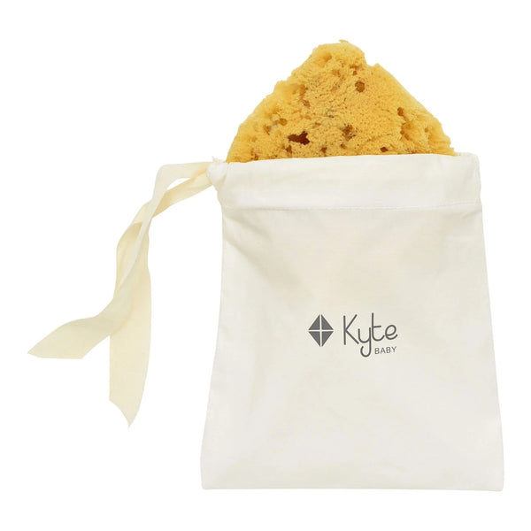 All Natural Sea Sponge