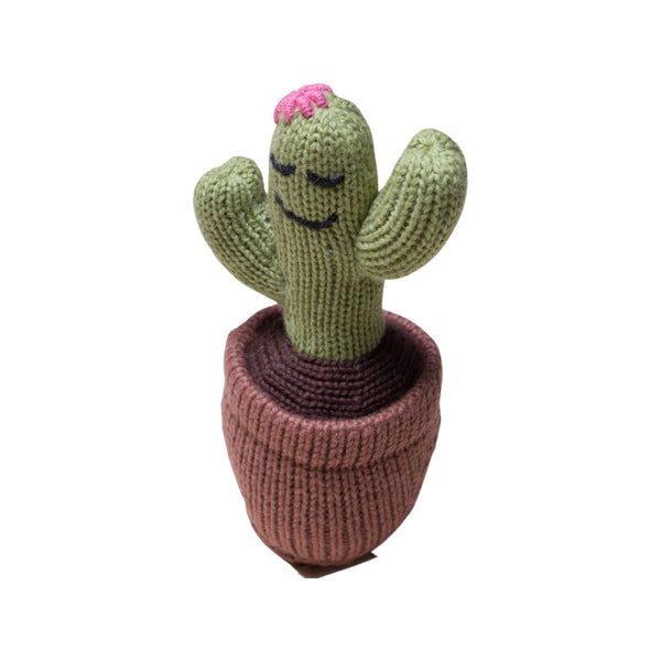 Organic Cactus Rattle